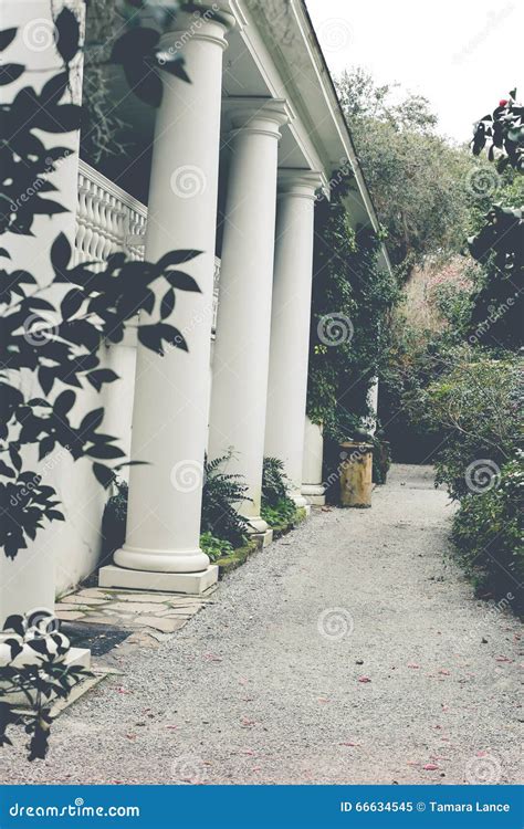 Plantation House stock image. Image of garden, history - 66634545