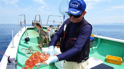 29年6月9日潮速く魚礁にて真鯛5768cm 第三むつりょう丸の釣果