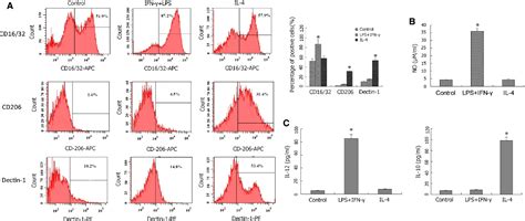 Mir Regulates Mouse Peritoneal Macrophage Polarization And Affects T