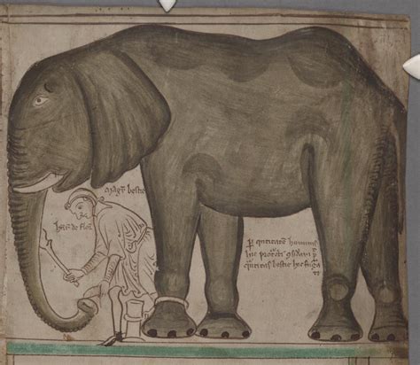 Medieval Drawings Of Elephants Warehouse Of Ideas