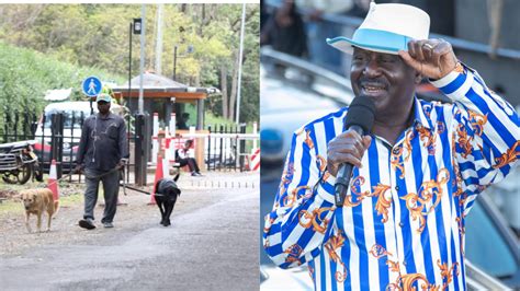 Maandamano Raila Odingas Karen House Heavily Guarded Nairobi News