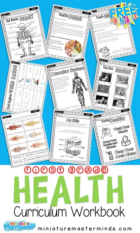 First Grade Curriculum Health Workbook Free Printable First Grade Curriculum Homeschooling