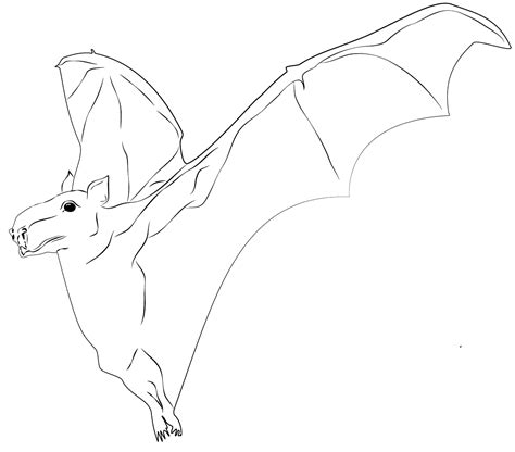 Hammer Headed Bat Coloring Page Colouringpages