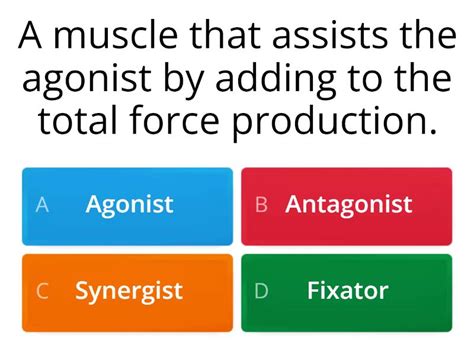 L3 U1 - Types of Muscles, Antagonistic Pairs and Muscle Contractions ...