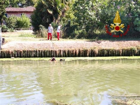 Trovato Un Corpo Nel Naviglio Del Brenta Potrebbe Essere Il 55enne