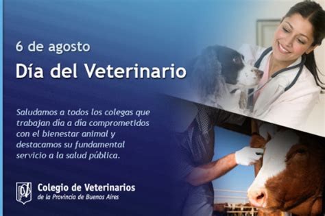 Que D A Se Celebra Su D A Los Veterinarios Im Genes Y Frases Del Dia