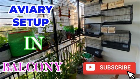 Birds Setup Vlog 1 How To Setup Birds Aviary Setup In Balcony Garden