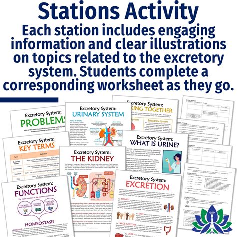 Complete Excretory System Unit Flying Colors Science