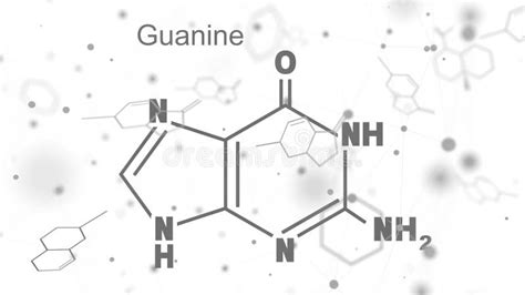 Chemische Structuurformule Van Guanine Dna En Rna Stikstofbasis Stock