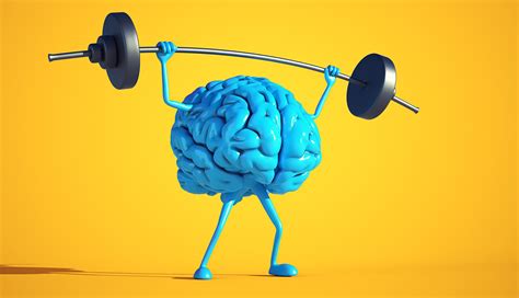 5 Pasos Sencillos Para Nutrir Tu Cerebro 2023