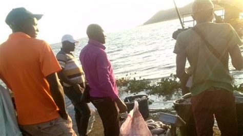 Sex For Fish Prostitution Erupts In Kariba Caj News Africa