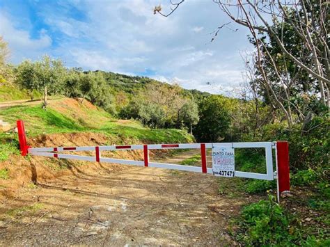 Terreno Agricolo Contrada Marrano Lamezia Terme Rif 99318026