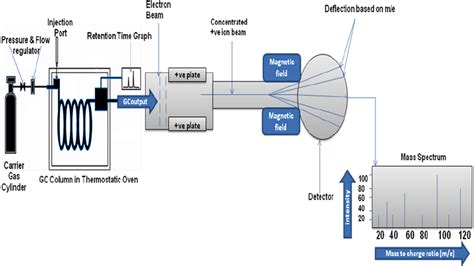 Schematic diagram of GC-MS | Download Scientific Diagram