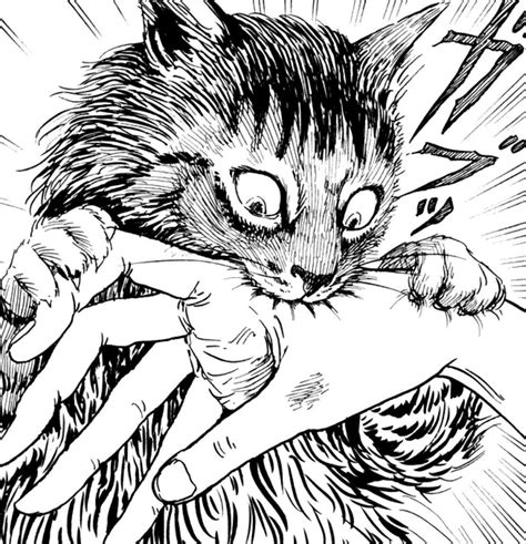 Mu Cat Diary Junji Ito Cat Diary Japanese Horror