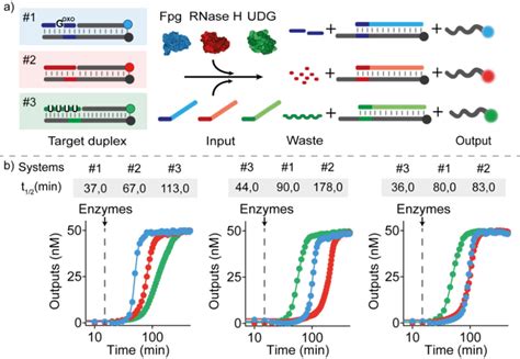 Orthogonal Temporal Control Of Strand Displacement Reactions A Scheme Download Scientific