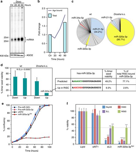 Genotoxic Drugs Cause Upregulation Of Tumor Suppressive Mirnas With Download Scientific Diagram