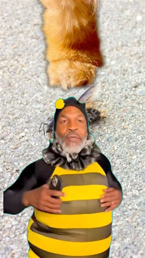 Mike Tyson bee, My dog stepped on a bee