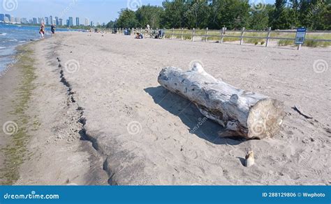 Hanlan S Point Nude Beach View On Toronto Islands Editorial Photo