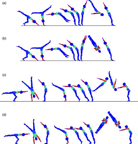 Tumbling Skills Analysed In This Investigation A Front Handspring