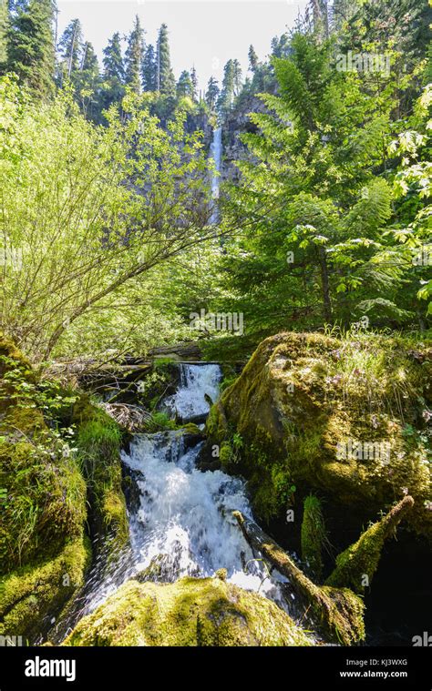 Watson Falls In The North Umpqua River Basin One Of The Highest