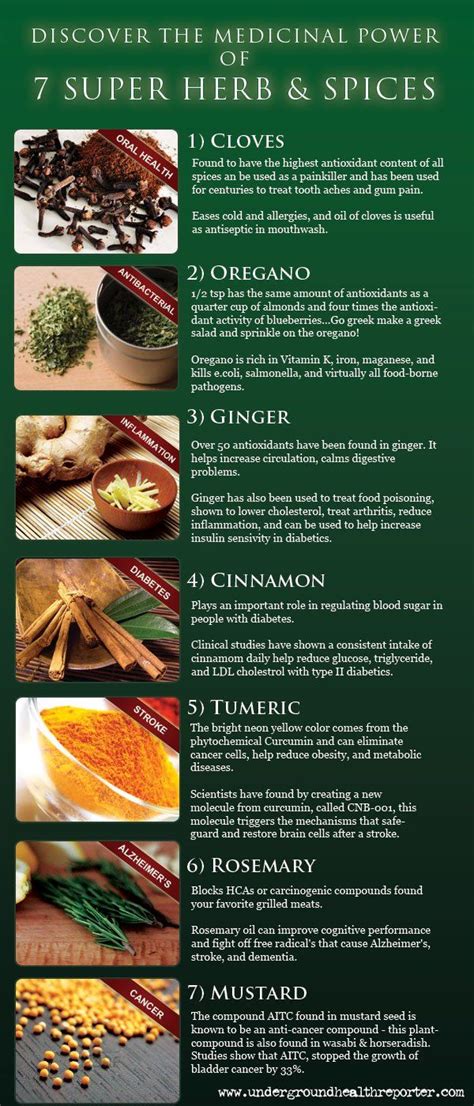 Supercharge Your Health With Seven Medicinal Herbs Spices Artofit