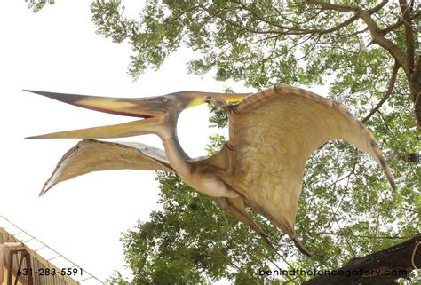 Dinosaur Statue Giant Pteranodon Bird Giant Pteranodon Statue : Behind the Fence Statues Gallery ...