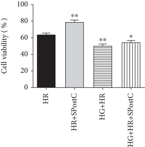 Cardiomyocyte Injury And Myocardial TOPK PTEN And Akt Protein