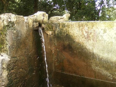 Bharatha Darshini Madhavadhara A Buddhist Site Near Simhachalam