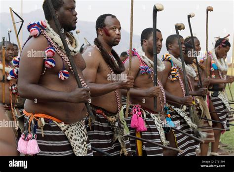 Group Of Adult Men Walking Umhlanga Reed Dance Ceremony Kingdom