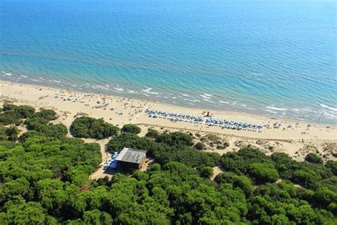 Villaggio E Campeggio Le Marze Boschetto Holiday A Marina Di Grosseto