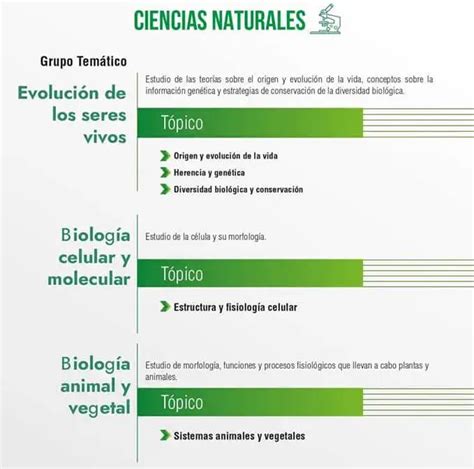 Temario Examen De Ingreso A La Universidad Ecu