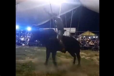 Muere jinete de 15 años tras ser golpeado por toro durante jaripeo