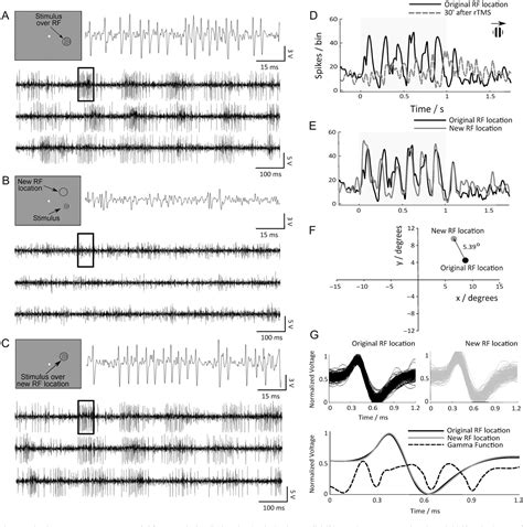 Figure From Suppression Of V Feedback Produces A Shift In The