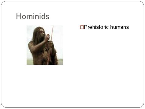 Early Hominids History Alive Chapter 2 Hominids Prehistoric