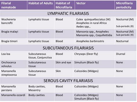 Filarial worms dr. rs 28 08-2017