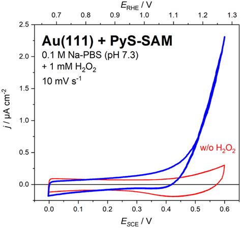 Cyclic Voltammograms For Au 111 Modified With 4 Mercaptopyridine PyS