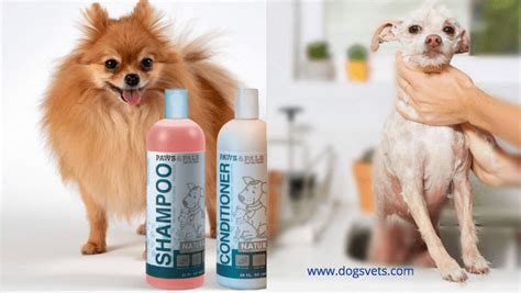 top   flea shampoos  dogs   safe shampoo brands