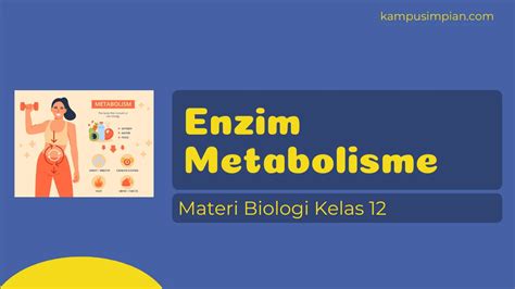 Enzim Metabolisme - Kampusimpian.com