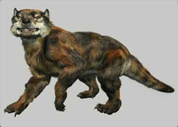 Marsupial Lion, Thylacoleo Carnifex