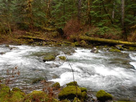 Tanner Creek Ford Hiking In Portland Oregon And Washington