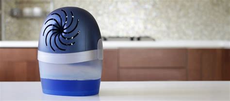 How to Use a Dehumidifier Properly - PuroClean Canada HQ