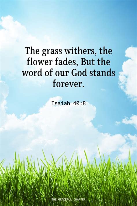 Bible Verses About Flowers The Graceful Chapter