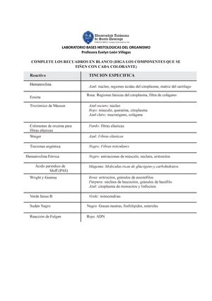 Solved Diferencia Entre Eucromatina Y Heterocromatina Lab Bases