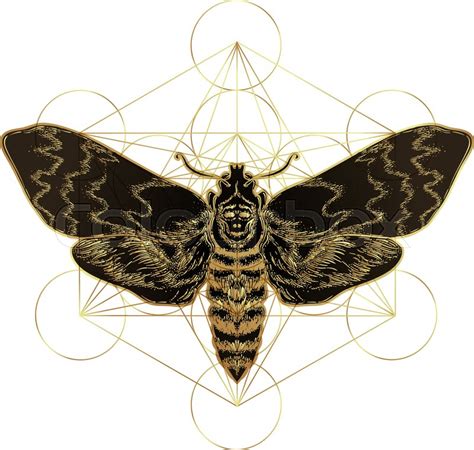 Golden Moth Over Sacred Geometry Sign Stock Vector Colourbox