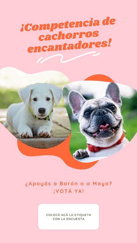 Explor Plantilla De Mascotas Personalizables Gratis Canva