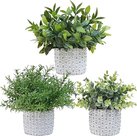 Amazon Winlyn 3 Pack Small Potted Artificial Eucalyptus Plants