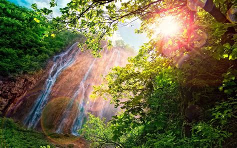 Wallpaper X Px Branch Forest Landscape Lens Flare Nature