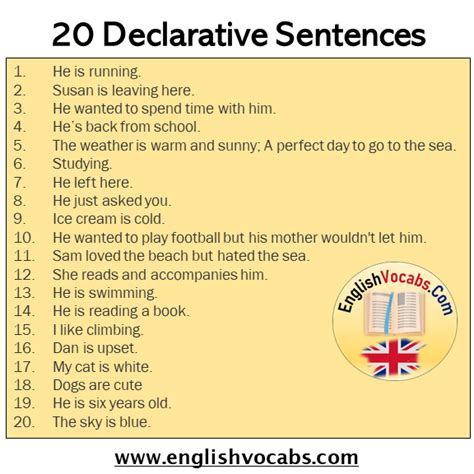 20 Declarative Sentences Examples English Vocabs