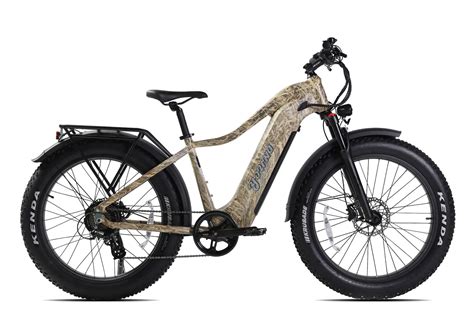 Complete Guide to The Best Long Range Electric Bike – Young Electric