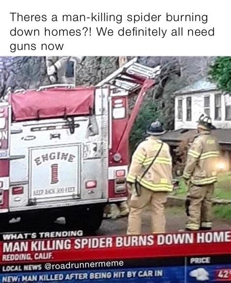 Spider Meme Burn House